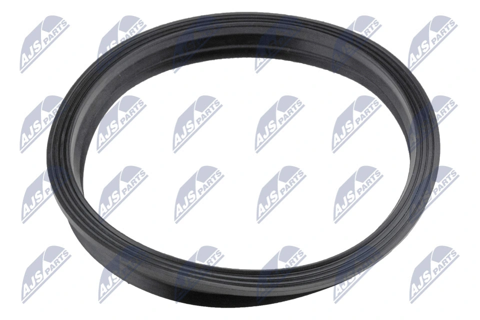 Gasket, fuel pump (BPP-VW-005)