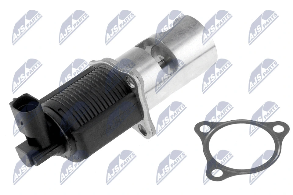 EGR Valve (EGR-PL-011)