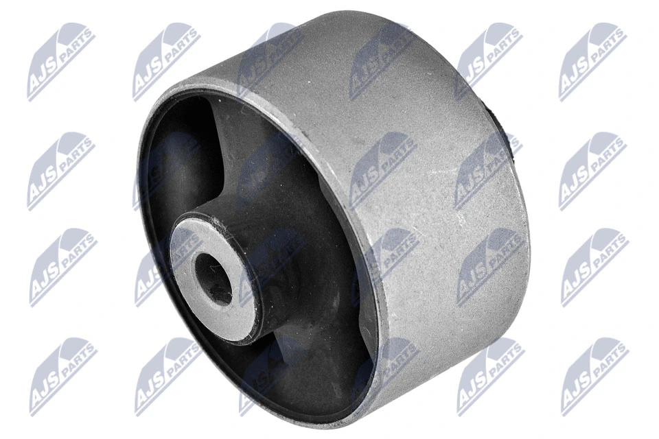 Mounting, control/trailing arm