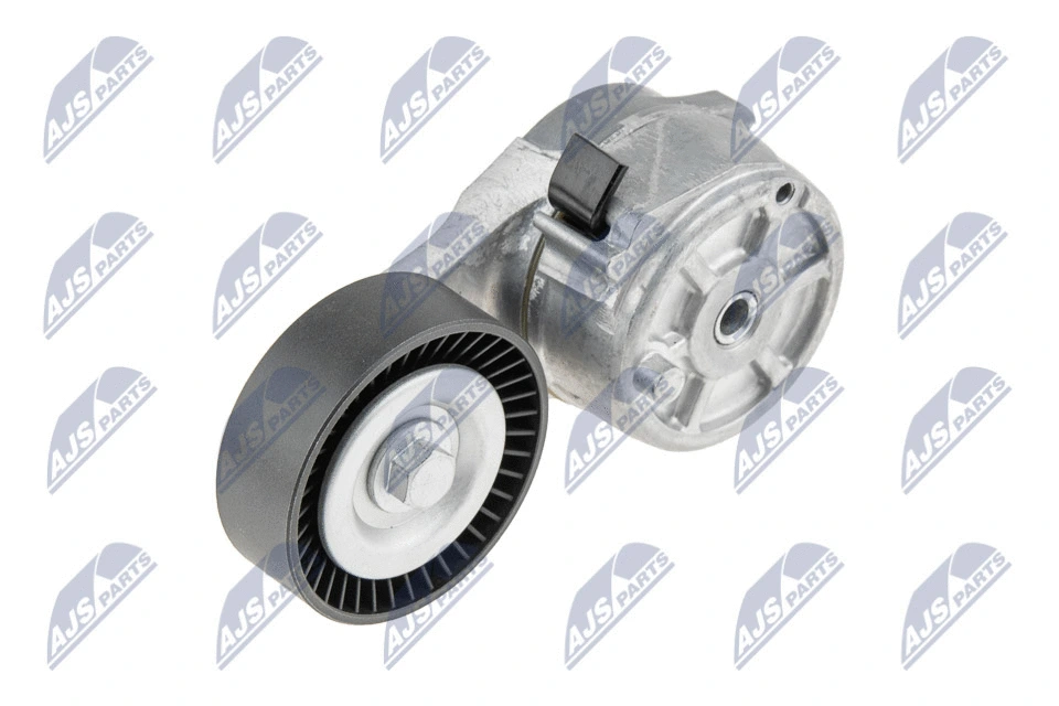Tensioner Pulley, V-ribbed belt (RNK-CH-010)