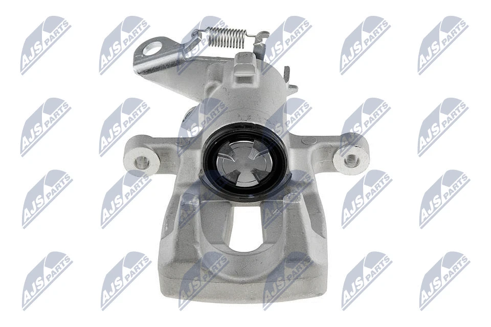 Brake Caliper (HZT-RE-003)