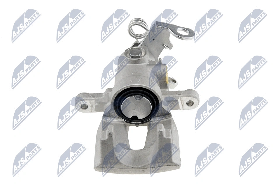 Brake Caliper (HZT-FT-000)