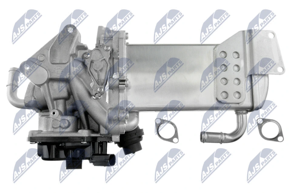 EGR Module
