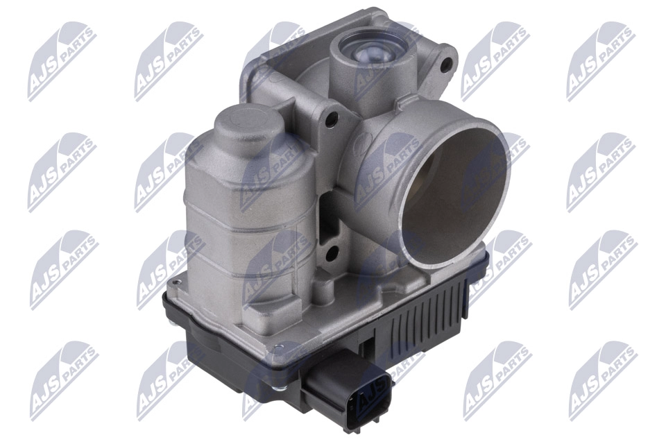 Throttle Body (ETB-NS-003)