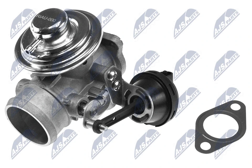 EGR Valve (EGR-AU-000)