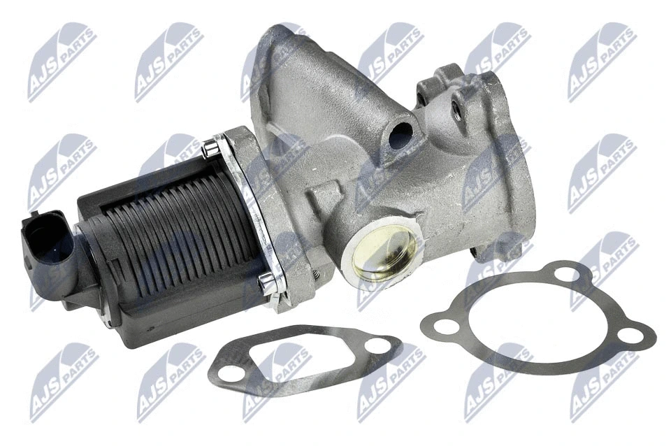 EGR Valve (EGR-PL-004)