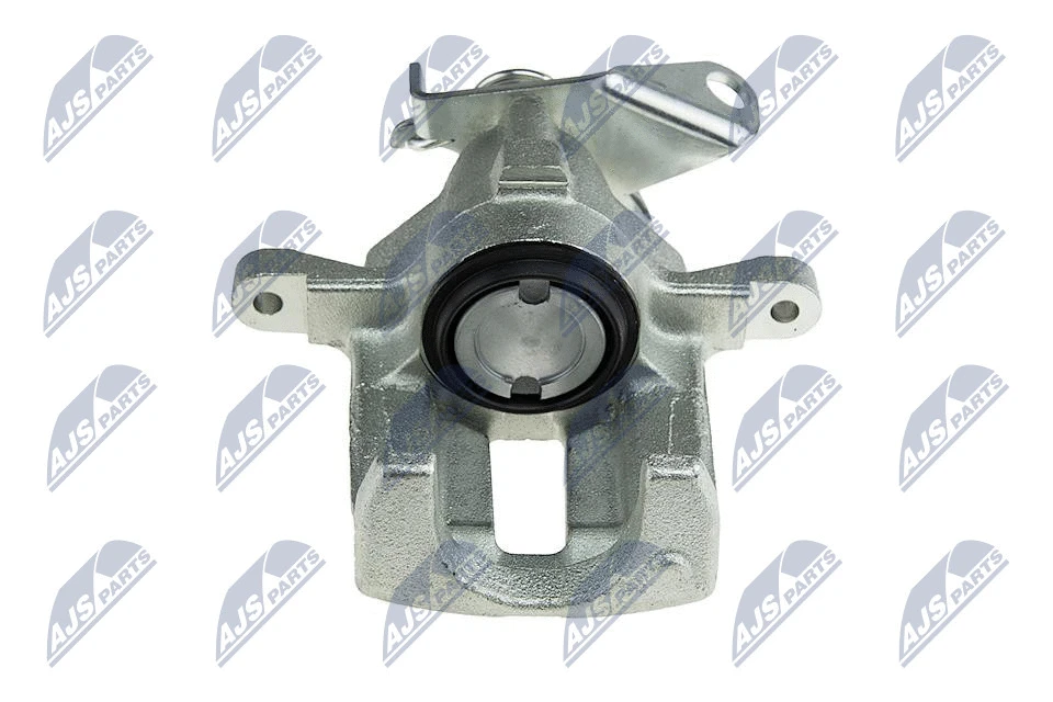 Brake Caliper (HZT-JG-005)