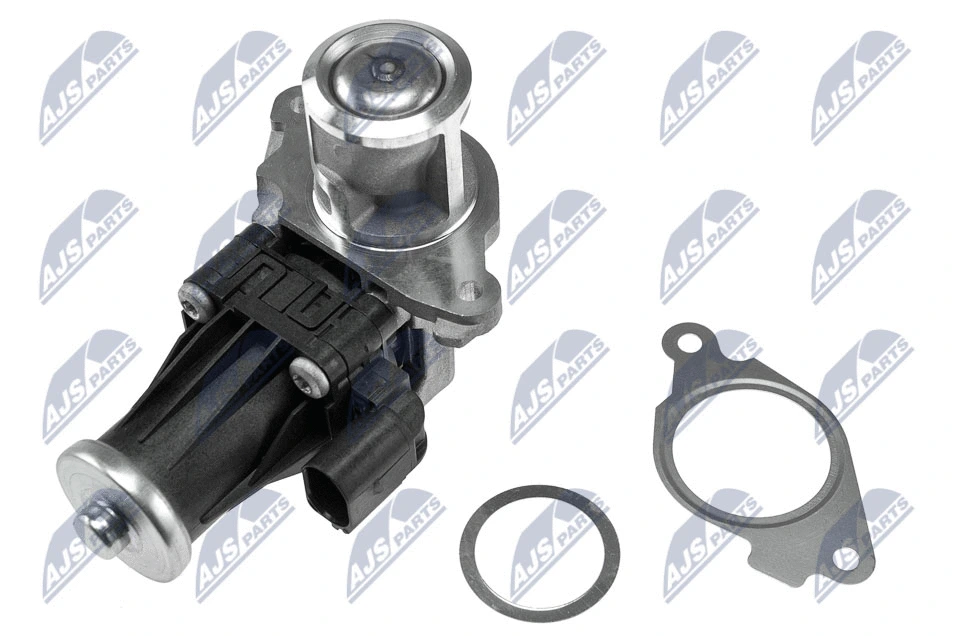 EGR Valve (EGR-PL-012)
