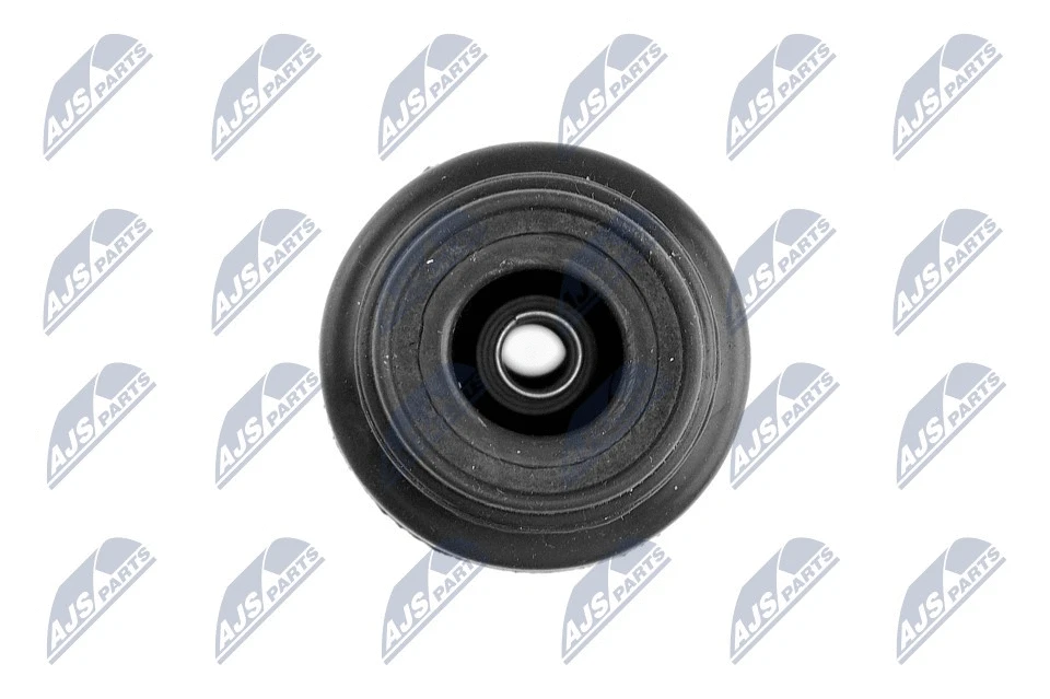 Plug, coil