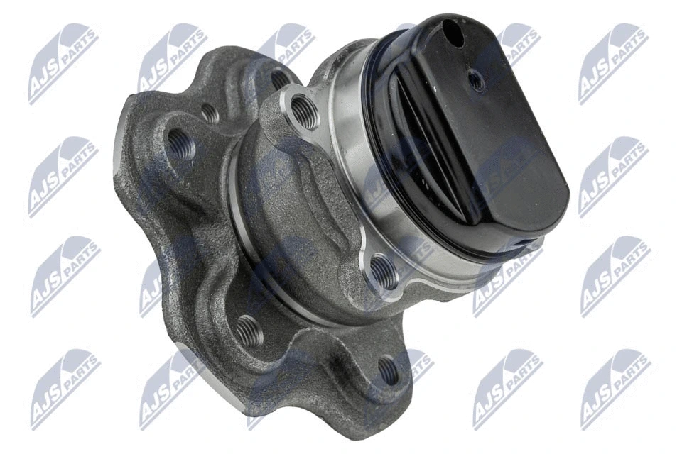 Wheel Bearing Kit (KLT-NS-100)