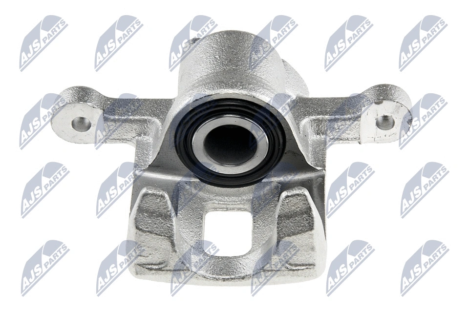 Brake Caliper (HZT-DW-000)