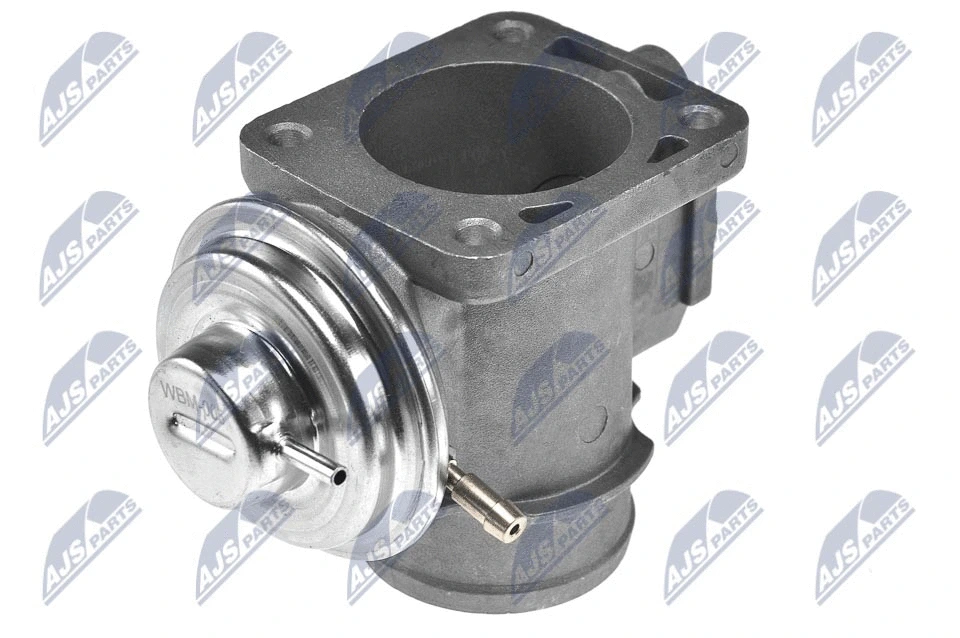 EGR Valve (EGR-BM-005)