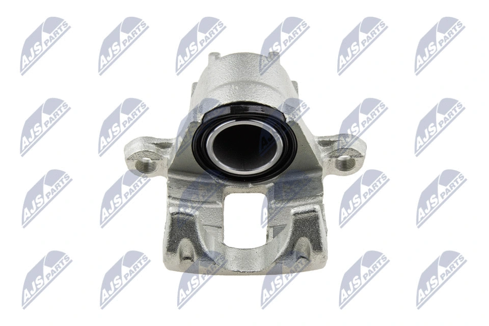 Brake Caliper (HZT-MS-021)
