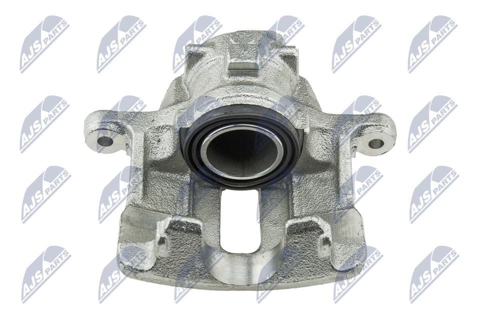 Brake Caliper (HZT-LR-015)