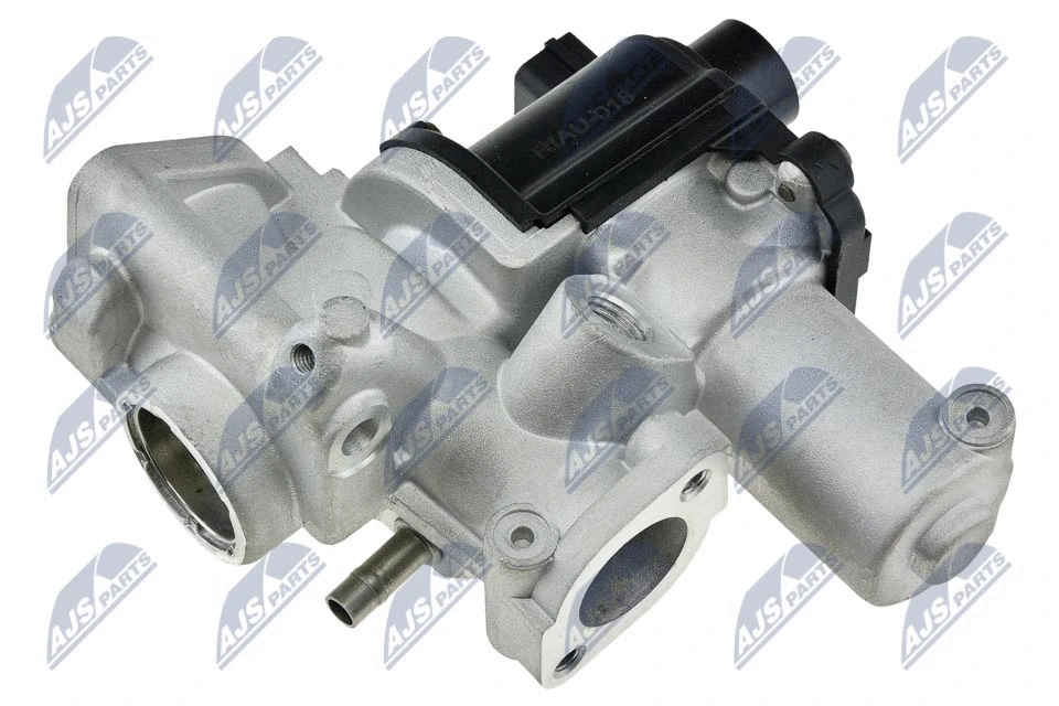 EGR Valve (EGR-AU-018)