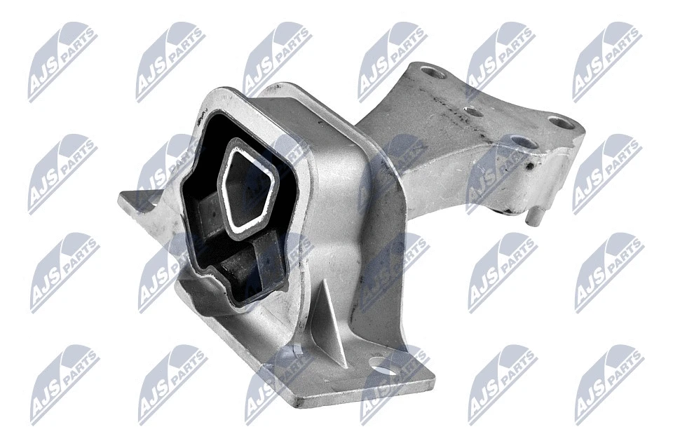 Mounting, engine (ZPS-RE-021)