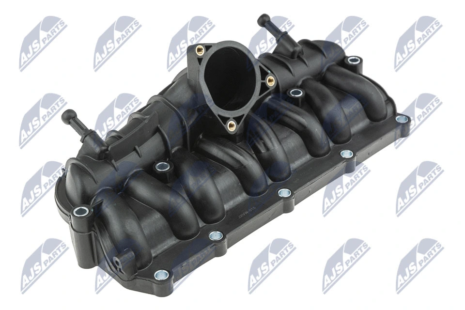 Intake Manifold Module