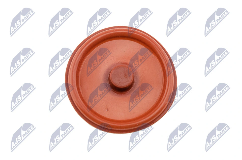 Cylinder Head Cover (BPZ-PL-005)