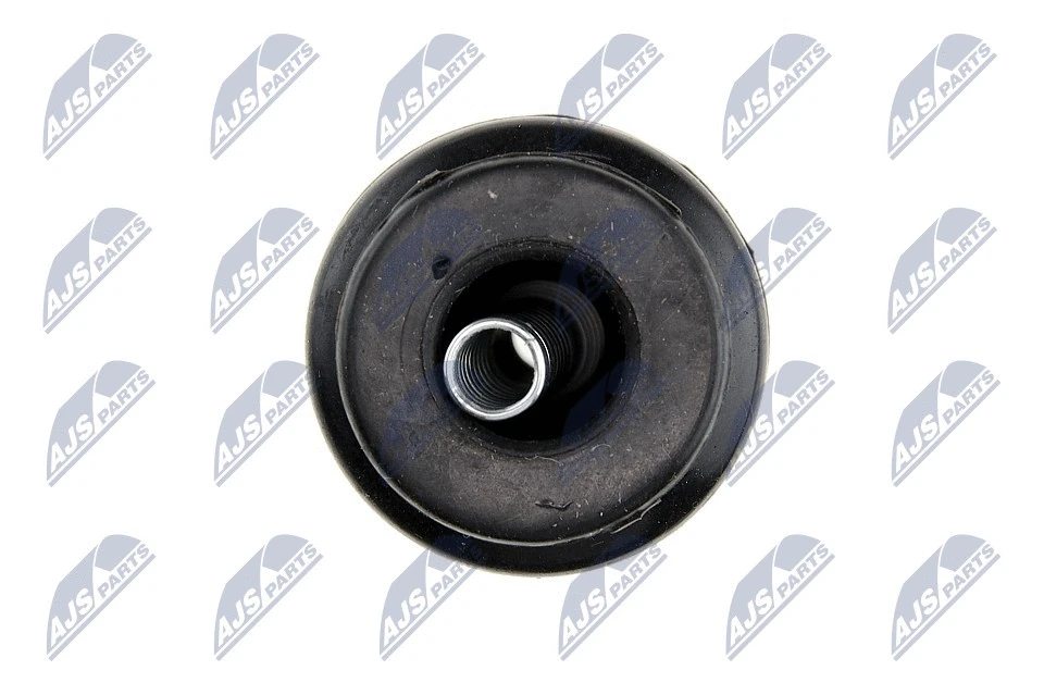 Plug, coil