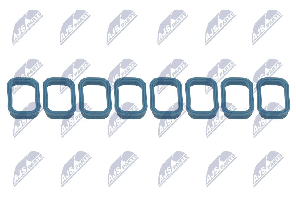 Gasket Set, intake manifold (BKS-FR-010)