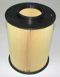 Air Filter (CA10521)