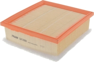 Air Filter (CA12066)