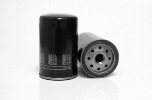 Oil Filter (PH5552EG)