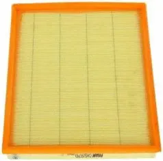 Air Filter (CA5970)