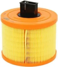 Air Filter (CA10239)