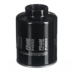Fuel Filter (P4922)