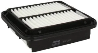 Air Filter (CA9738)