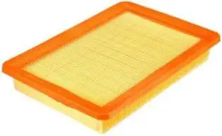 Air Filter (CA8162)