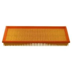 Air Filter (CA5494)