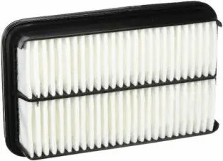 Air Filter (CA5125)