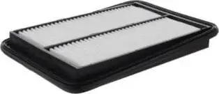Air Filter (CA11858)