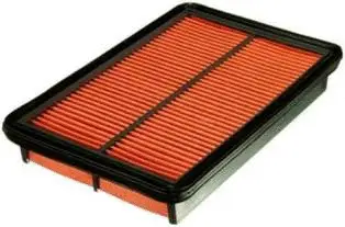 Air Filter (CA5595)