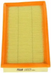 Air Filter (CA5929)
