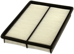 Air Filter (CA9555)