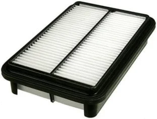 Air Filter (CA4830)