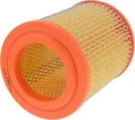 Air Filter (CA9493)