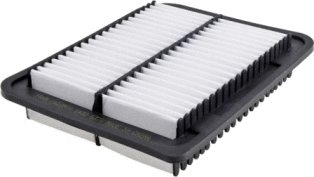 Air Filter (CA10910)
