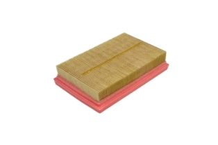 Air Filter (CA11742)