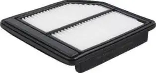 Air Filter (CA10165)