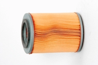 Air Filter (CA4904)