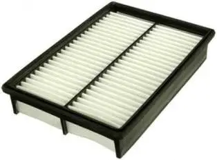Air Filter (CA9898)