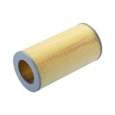 Air Filter (CA10779)