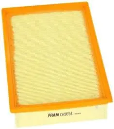 Air Filter (CA9694)