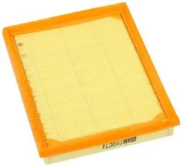 Air Filter (CA8674)