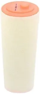Air Filter (CA8985)