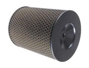 Air Filter (CA3256)